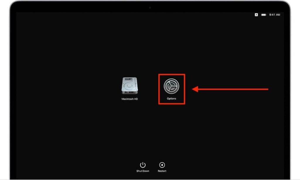 macos recovery options